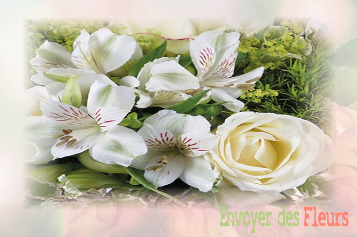 envoyer des fleurs à à BAZOCHES-SUR-GUYONNE